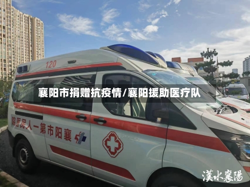 襄阳市捐赠抗疫情/襄阳援助医疗队-第2张图片