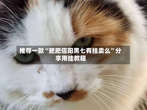 推荐一款“肥肥信阳黑七有挂卖么”分享用挂教程