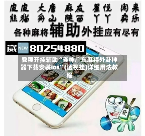 教程开挂辅助“雀神广东麻将外卦神器下载安装ios”(透视挂)详细用法教程-第2张图片