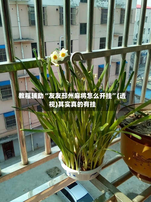 教程辅助“友友邳州麻将怎么开挂”(透视)其实真的有挂-第3张图片