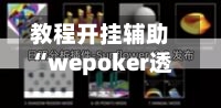 教程开挂辅助“wepoker透视挂使用教程”详细开挂教程-第3张图片