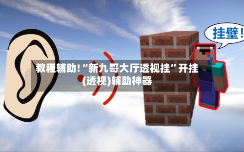 教程辅助!“新九哥大厅透视挂	”开挂(透视)辅助神器-第3张图片