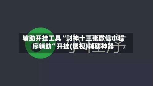 辅助开挂工具“财神十三张微信小程序辅助”开挂(透视)辅助神器-第3张图片