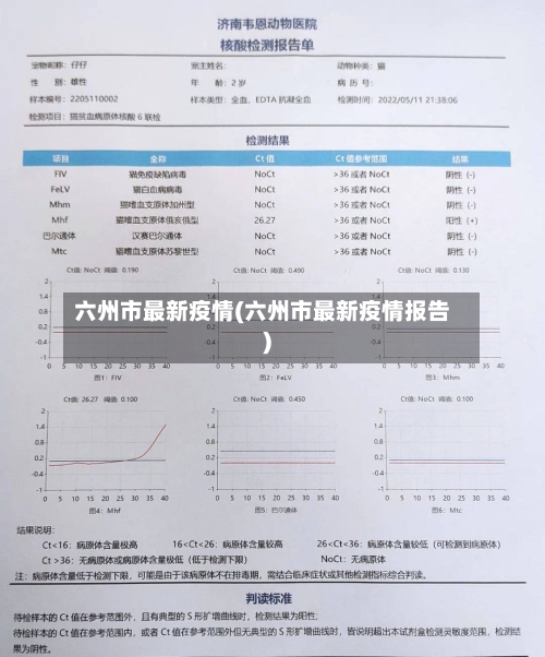 六州市最新疫情(六州市最新疫情报告)-第3张图片
