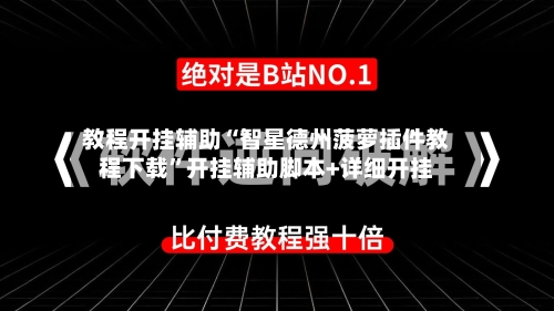 教程开挂辅助“智星德州菠萝插件教程下载	”开挂辅助脚本+详细开挂-第2张图片