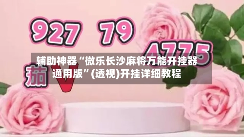 辅助神器“微乐长沙麻将万能开挂器通用版”(透视)开挂详细教程-第2张图片