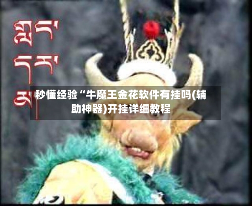 秒懂经验“牛魔王金花软件有挂吗(辅助神器)开挂详细教程