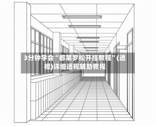 3分钟学会“都莱罗松开挂教程”(透视)详细透视辅助教程-第3张图片