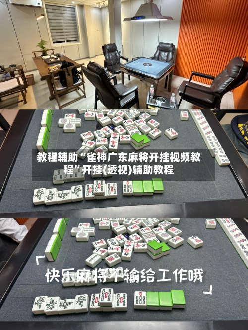 教程辅助“雀神广东麻将开挂视频教程”开挂(透视)辅助教程-第2张图片