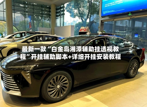 最新一款“白金岛湘潭辅助挂透视教程	”开挂辅助脚本+详细开挂安装教程-第2张图片