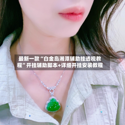 最新一款“白金岛湘潭辅助挂透视教程”开挂辅助脚本+详细开挂安装教程