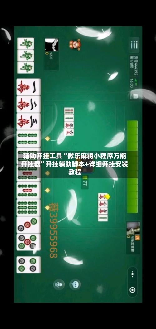 辅助开挂工具“微乐麻将小程序万能开挂器”开挂辅助脚本+详细开挂安装教程-第3张图片