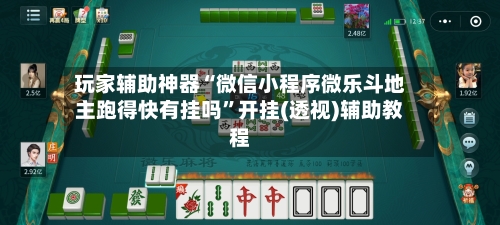 玩家辅助神器“微信小程序微乐斗地主跑得快有挂吗”开挂(透视)辅助教程