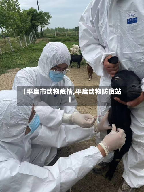 【平度市动物疫情,平度动物防疫站】