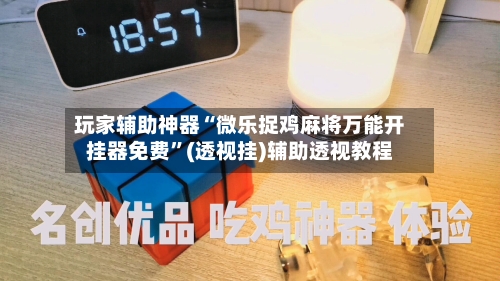 玩家辅助神器“微乐捉鸡麻将万能开挂器免费”(透视挂)辅助透视教程-第3张图片