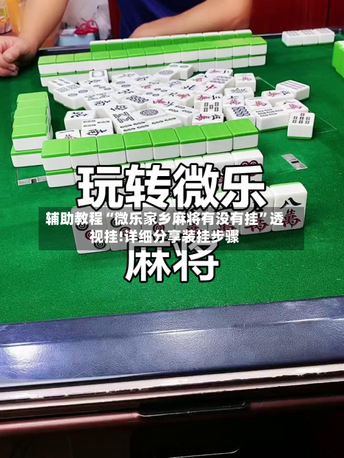 辅助教程“微乐家乡麻将有没有挂	”透视挂!详细分享装挂步骤-第2张图片