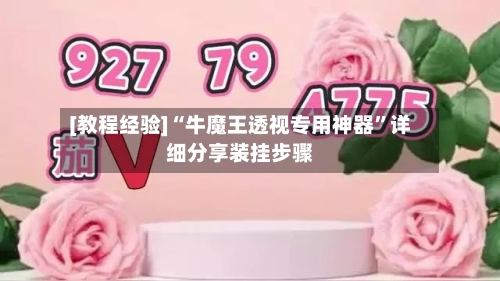 [教程经验]“牛魔王透视专用神器”详细分享装挂步骤