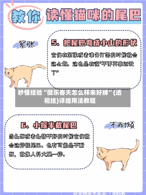 秒懂经验“微乐春天怎么样来好牌”(透视挂)详细用法教程