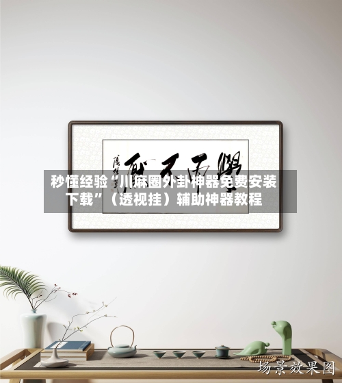 秒懂经验“川麻圈外卦神器免费安装下载”（透视挂）辅助神器教程-第2张图片