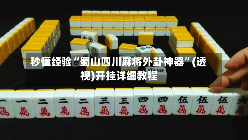 秒懂经验“蜀山四川麻将外卦神器”(透视)开挂详细教程-第3张图片