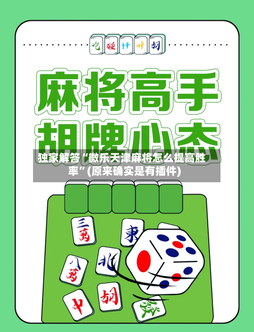 独家解答“微乐天津麻将怎么提高胜率	”(原来确实是有插件)-第2张图片