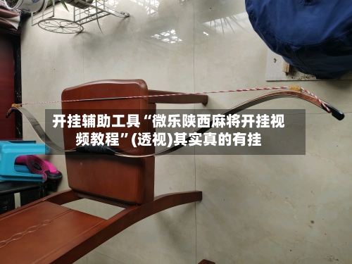 开挂辅助工具“微乐陕西麻将开挂视频教程”(透视)其实真的有挂