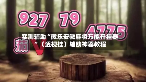 实测辅助“微乐安徽麻将万能开挂器”（透视挂）辅助神器教程