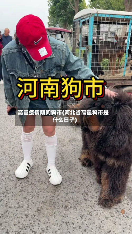 高邑疫情期间狗市(河北省高邑狗市是什么日子)-第2张图片