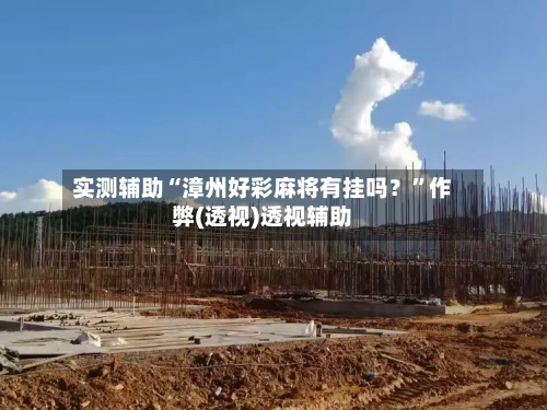 实测辅助“漳州好彩麻将有挂吗？”作弊(透视)透视辅助-第2张图片