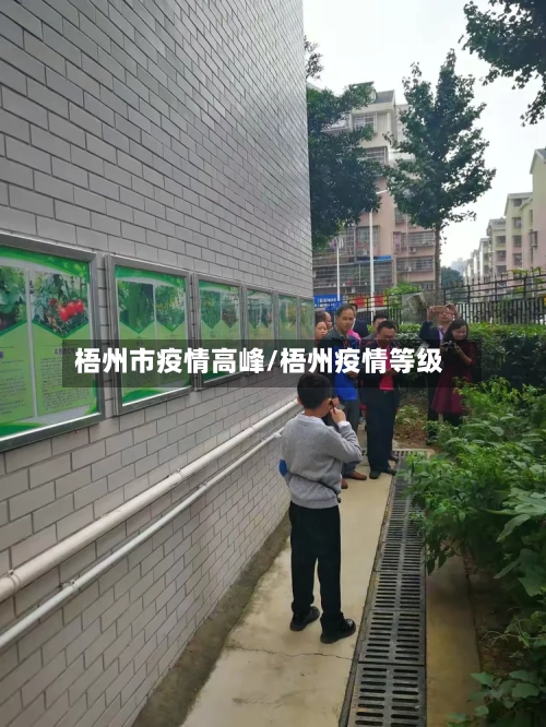 梧州市疫情高峰/梧州疫情等级