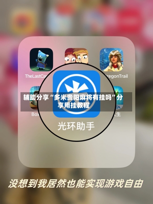 辅助分享“多米贵阳麻将有挂吗”分享用挂教程-第3张图片