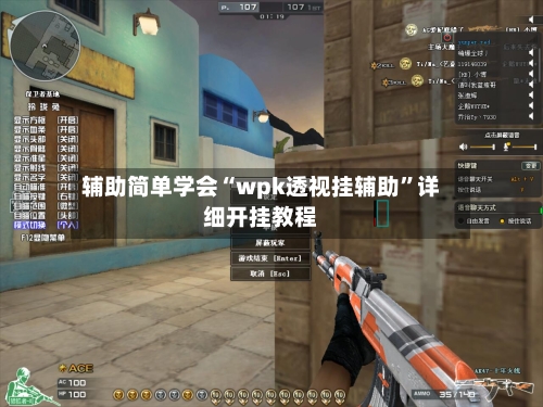 辅助简单学会“wpk透视挂辅助	”详细开挂教程-第2张图片