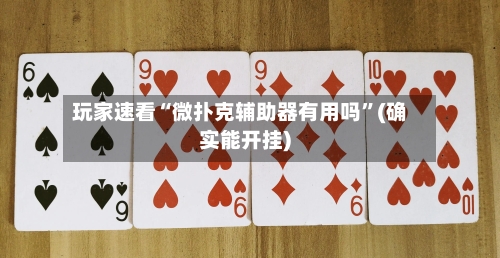 玩家速看“微扑克辅助器有用吗”(确实能开挂)-第2张图片