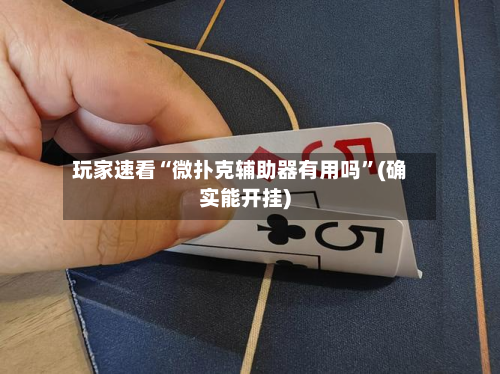 玩家速看“微扑克辅助器有用吗”(确实能开挂)-第3张图片