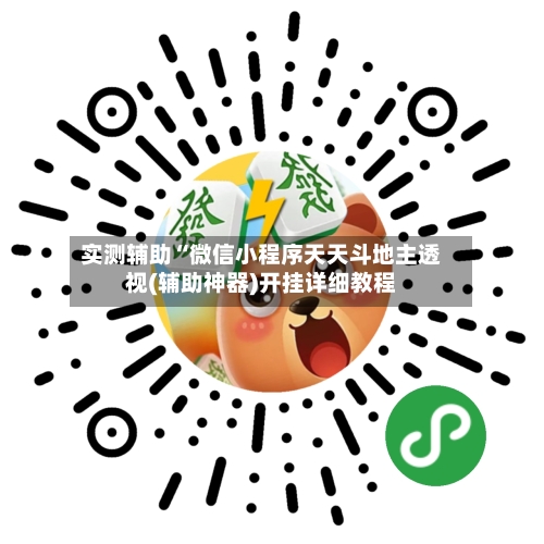 实测辅助“微信小程序天天斗地主透视(辅助神器)开挂详细教程-第2张图片