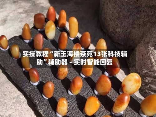 实操教程“新玉海楼茶苑13张科技辅助”辅助器 - 实时智能回复-第2张图片