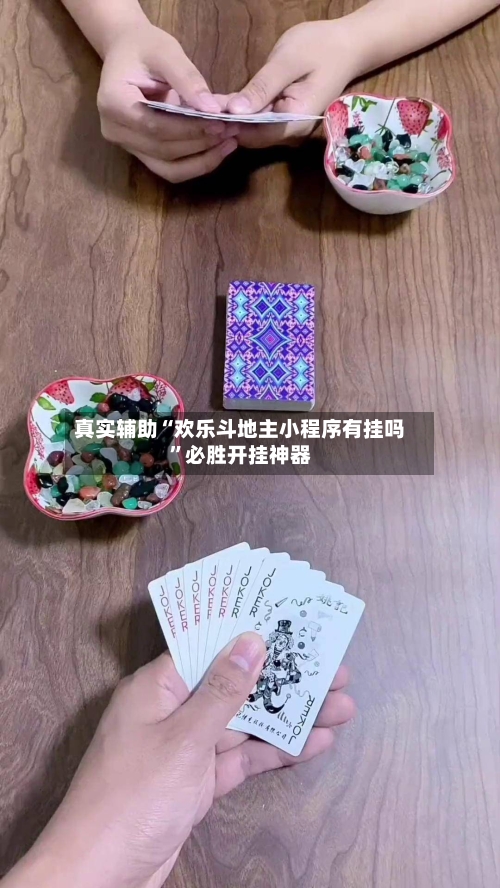 真实辅助“欢乐斗地主小程序有挂吗”必胜开挂神器-第3张图片