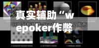 真实辅助“wepoker作弊透视辅助”开挂(透视)辅助神器-第3张图片