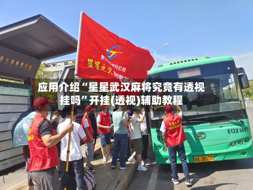 应用介绍“星星武汉麻将究竟有透视挂吗”开挂(透视)辅助教程-第2张图片