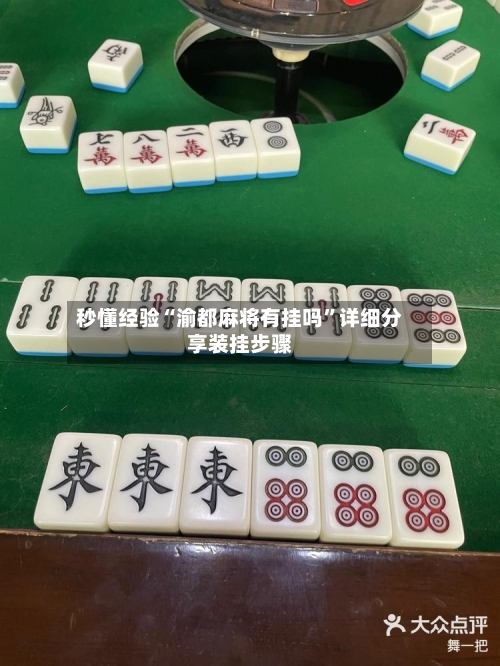 秒懂经验“渝都麻将有挂吗”详细分享装挂步骤-第3张图片