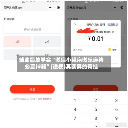 辅助简单学会“微信小程序微乐麻将必赢神器”(透视)其实真的有挂