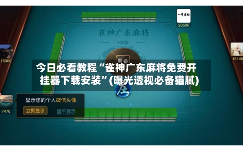 今日必看教程“雀神广东麻将免费开挂器下载安装”(曝光透视必备猫腻)-第3张图片