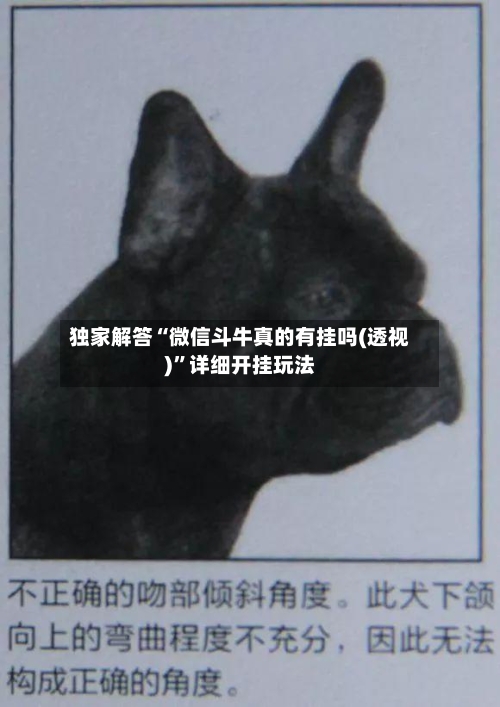 独家解答“微信斗牛真的有挂吗(透视)”详细开挂玩法