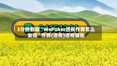 3分钟教程“WePoker透视作弊怎么发现”作弊(透视)透视辅助