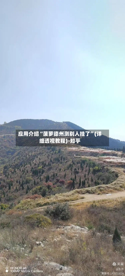 应用介绍“菠萝德州测别人挂了	”(详细透视教程)-知乎-第2张图片