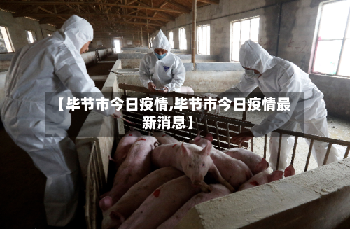 【毕节市今日疫情,毕节市今日疫情最新消息】