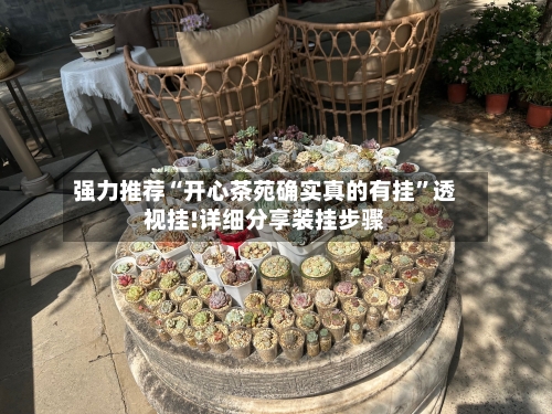 强力推荐“开心茶苑确实真的有挂”透视挂!详细分享装挂步骤