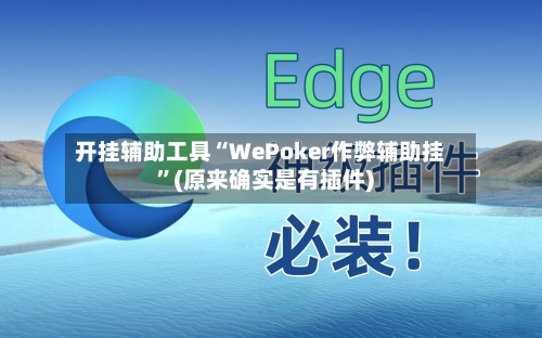 开挂辅助工具“WePoker作弊辅助挂”(原来确实是有插件) -第2张图片