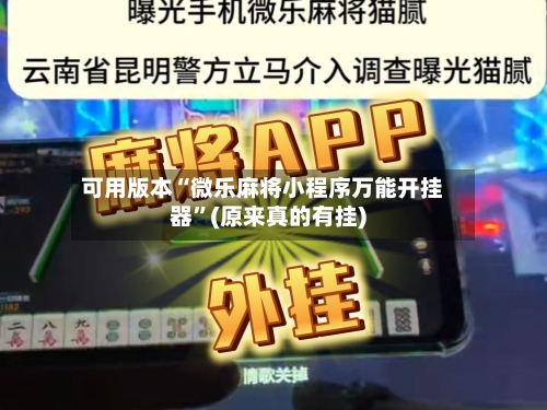 可用版本“微乐麻将小程序万能开挂器	”(原来真的有挂)-第2张图片