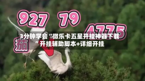 3分钟学会“微乐卡五星开挂神器下载”开挂辅助脚本+详细开挂-第3张图片